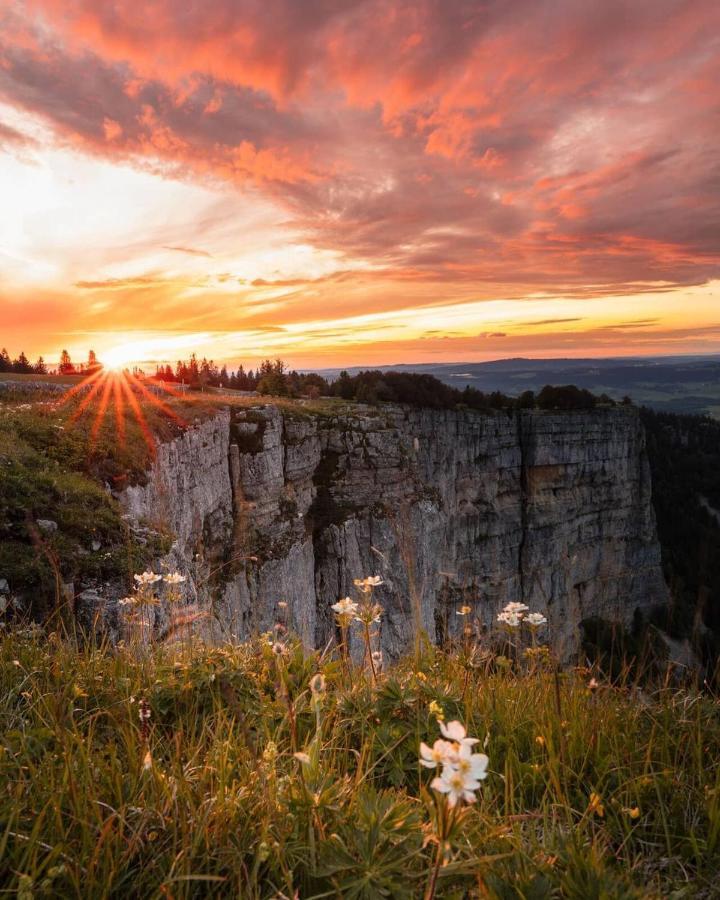 Appartement Thematique: Nature Scandinave Travers Dış mekan fotoğraf